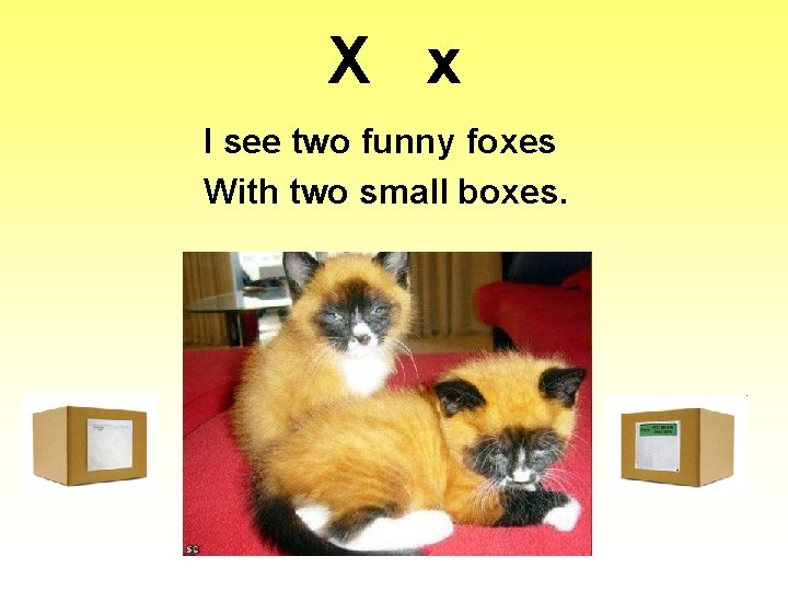 X x I see two funny foxes With two small boxes. 