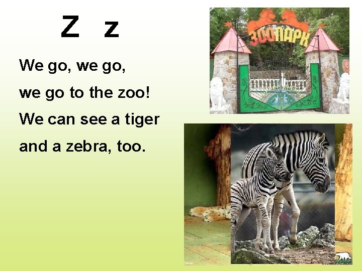 Z z We go, we go to the zoo! We can see a tiger