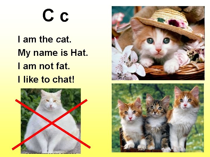 Cc I am the cat. My name is Hat. I am not fat. I