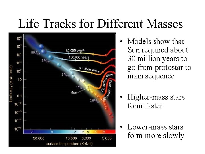 Life Tracks for Different Masses • Models show that Sun required about 30 million