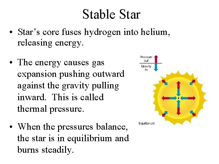 Stable Star • Star’s core fuses hydrogen into helium, releasing energy. • The energy