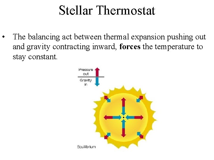 Stellar Thermostat • The balancing act between thermal expansion pushing out and gravity contracting