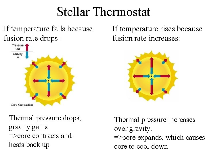 Stellar Thermostat If temperature falls because fusion rate drops : Thermal pressure drops, gravity