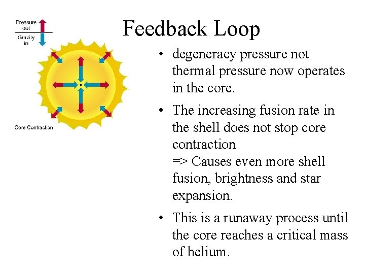 Feedback Loop • degeneracy pressure not thermal pressure now operates in the core. •