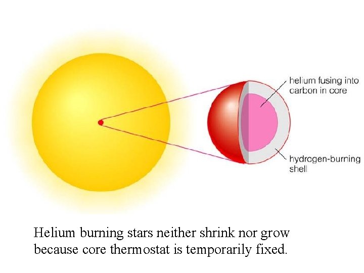 Helium burning stars neither shrink nor grow because core thermostat is temporarily fixed. 