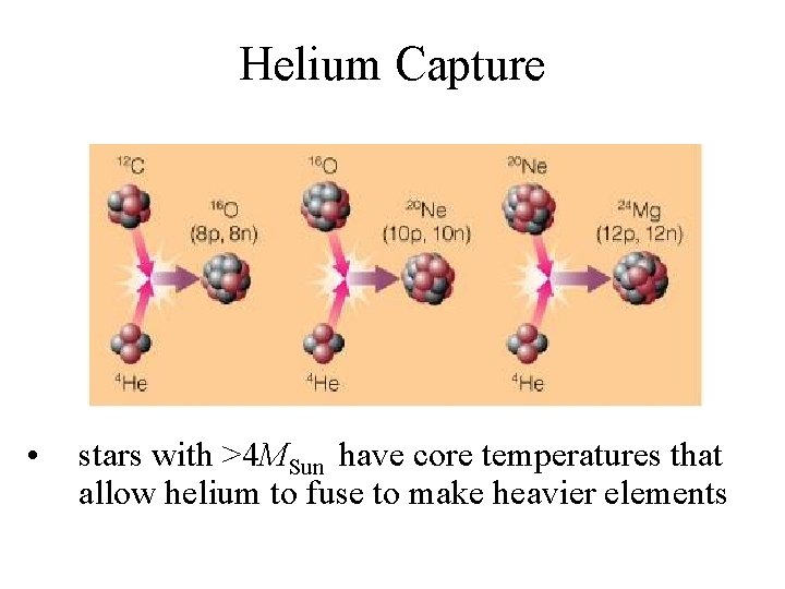 Helium Capture • stars with >4 MSun have core temperatures that allow helium to