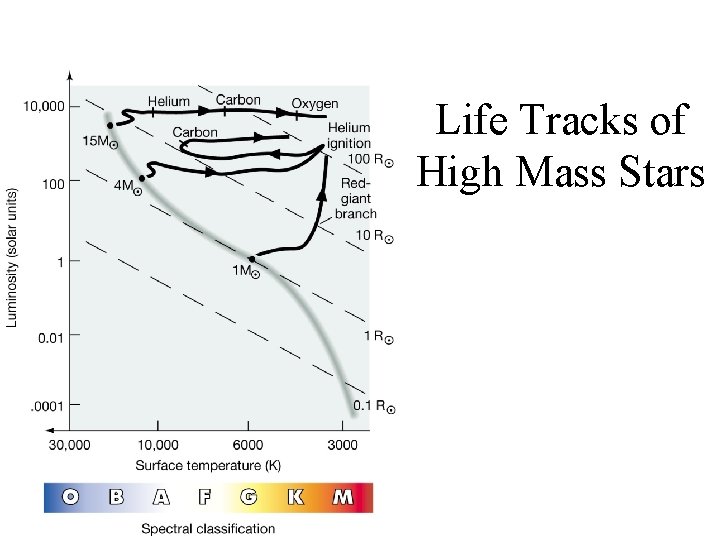 Life Tracks of High Mass Stars 
