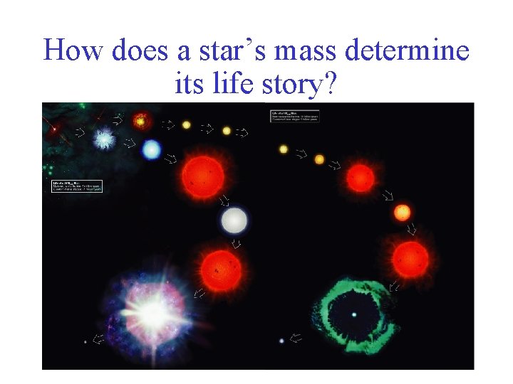 How does a star’s mass determine its life story? 