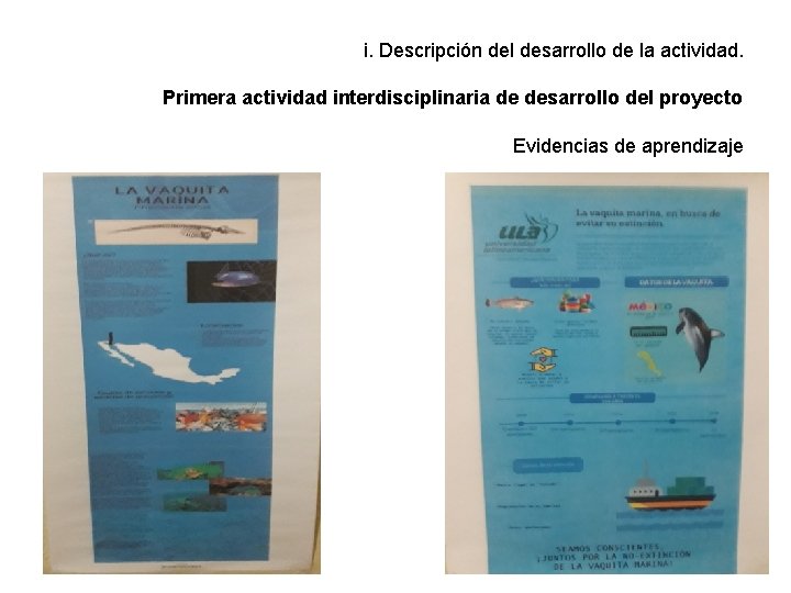 i. Descripción del desarrollo de la actividad. Primera actividad interdisciplinaria de desarrollo del proyecto