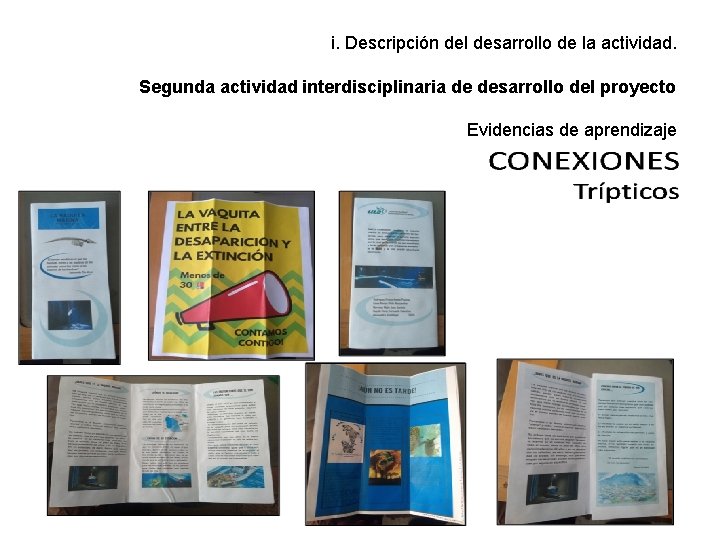 i. Descripción del desarrollo de la actividad. Segunda actividad interdisciplinaria de desarrollo del proyecto