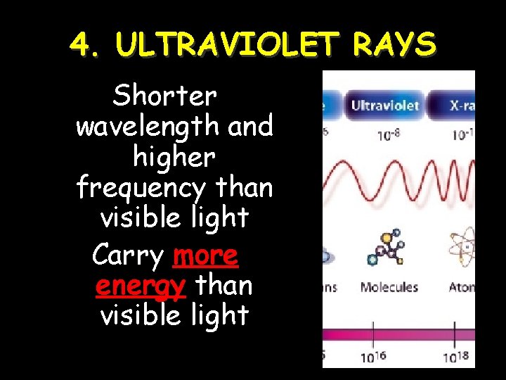 4. ULTRAVIOLET RAYS Shorter wavelength and higher frequency than visible light Carry more energy
