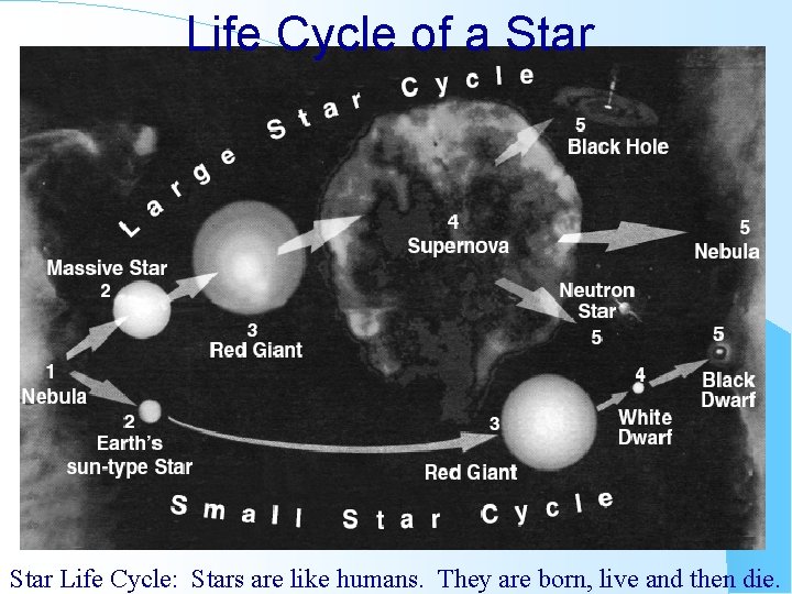 Life Cycle of a Star Life Cycle: Stars are like humans. They are born,