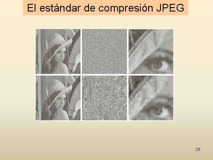 El estándar de compresión JPEG 29 