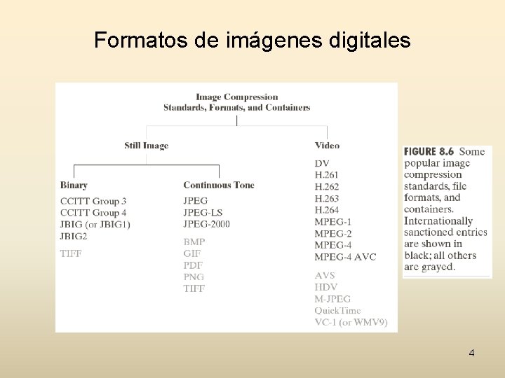 Formatos de imágenes digitales 4 