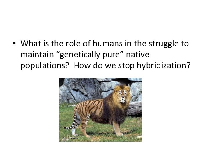  • What is the role of humans in the struggle to maintain “genetically