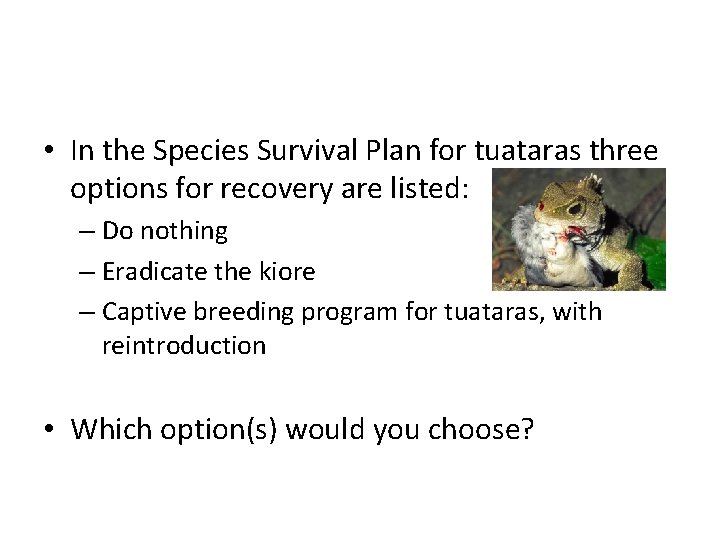  • In the Species Survival Plan for tuataras three options for recovery are