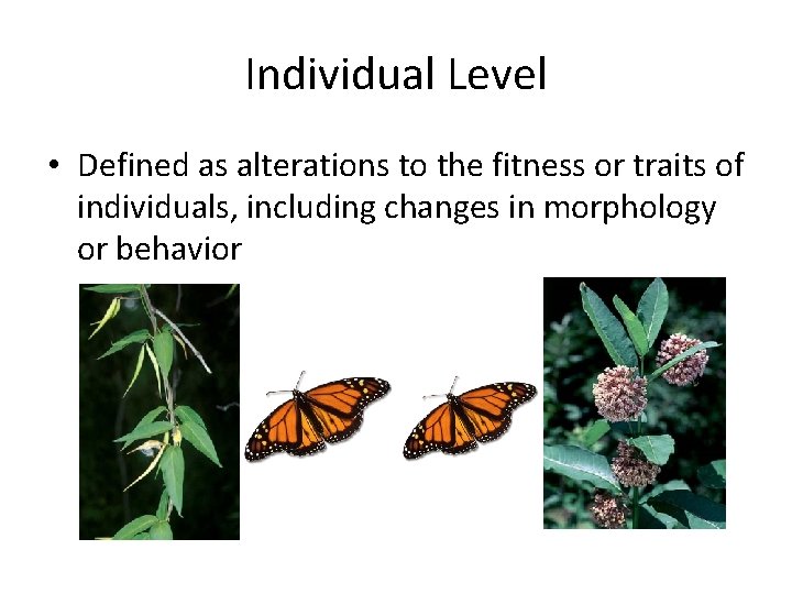 Individual Level • Defined as alterations to the fitness or traits of individuals, including