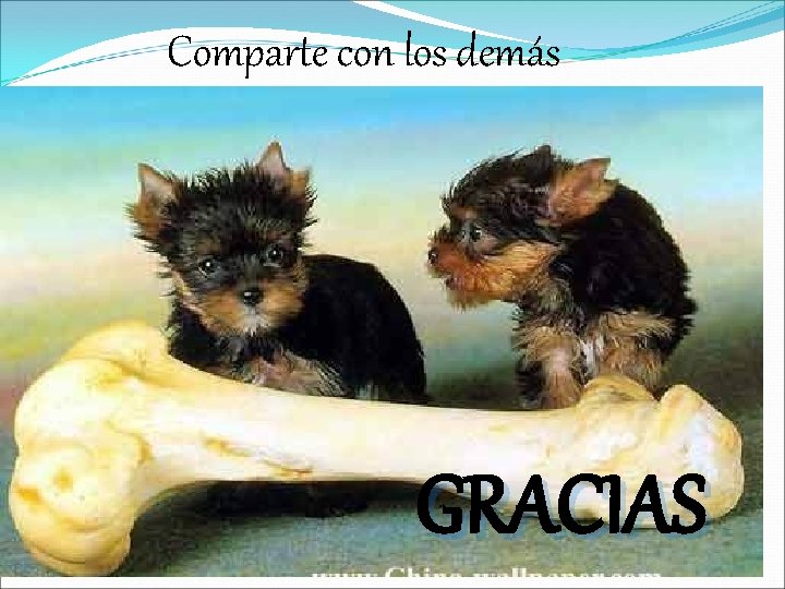 Comparte con los demás GRACIAS 