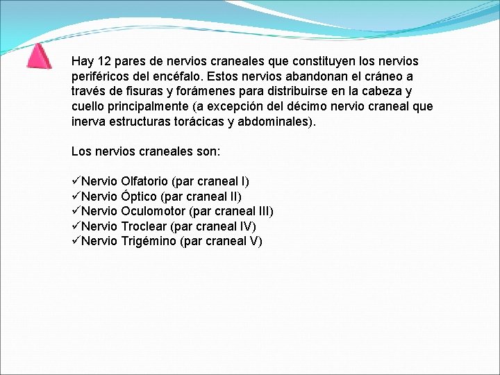 Hay 12 pares de nervios craneales que constituyen los nervios periféricos del encéfalo. Estos