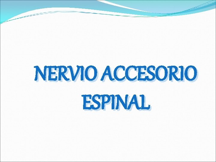 NERVIO ACCESORIO ESPINAL 