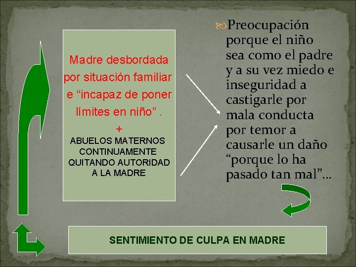  Preocupación Madre desbordada por situación familiar e “incapaz de poner límites en niño”.