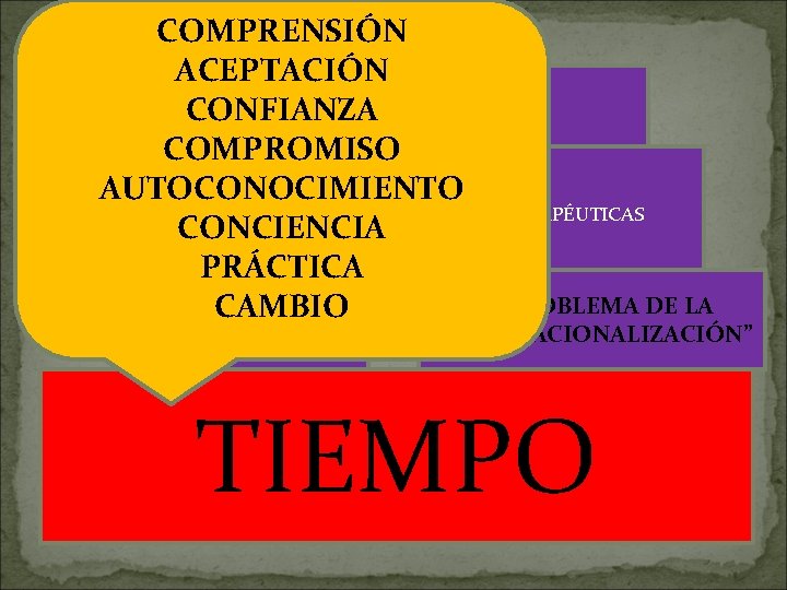 COMPRENSIÓN ACEPTACIÓN CONFIANZA FORMACIÓN TEÓRICA COMPROMISO AUTOCONOCIMIENTO PSICOPATOLOGÍA TÉCNICAS PSICOTERAPÉUTICAS CONCIENCIA PRÁCTICA EL PROBLEMA