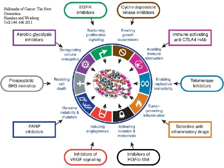 Hallmarks of Cancer: The Next Generation Hanahan and Weinberg Cell 144: 646 2011 HISTORY