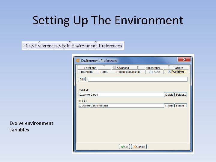 Setting Up The Environment Evolve environment variables 