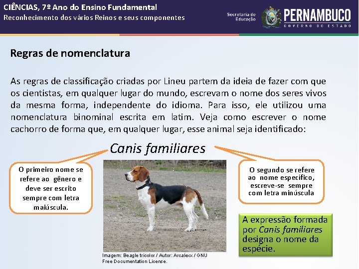 CIÊNCIAS, 7º Ano do Ensino Fundamental Reconhecimento dos vários Reinos e seus componentes Regras