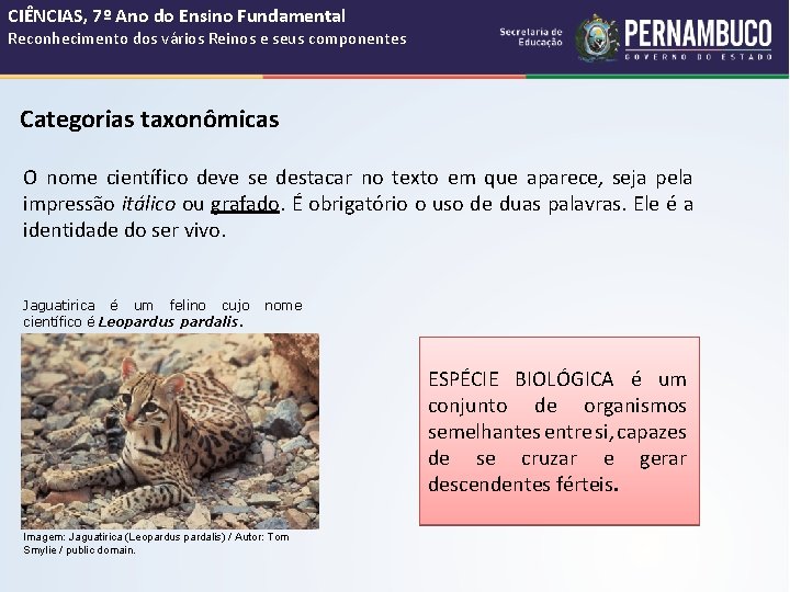 CIÊNCIAS, 7º Ano do Ensino Fundamental Reconhecimento dos vários Reinos e seus componentes Categorias