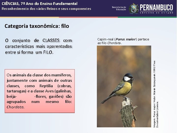 CIÊNCIAS, 7º Ano do Ensino Fundamental Reconhecimento dos vários Reinos e seus componentes Categoria