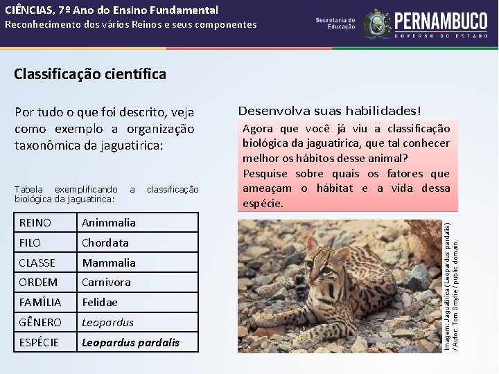 CIÊNCIAS, 7º Ano do Ensino Fundamental Reconhecimento dos vários Reinos e seus componentes Classificação