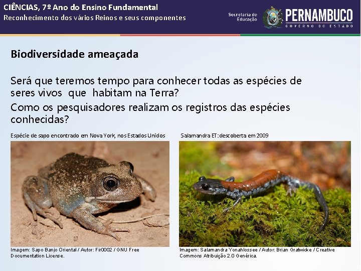 CIÊNCIAS, 7º Ano do Ensino Fundamental Reconhecimento dos vários Reinos e seus componentes Biodiversidade