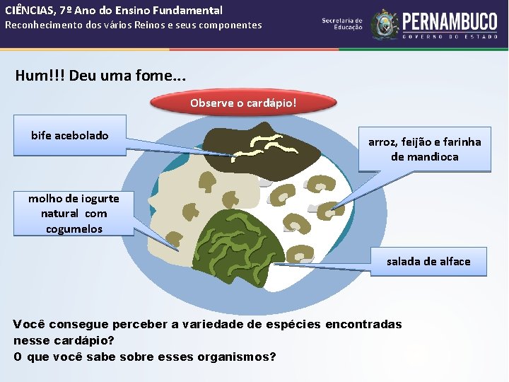 CIÊNCIAS, 7º Ano do Ensino Fundamental Reconhecimento dos vários Reinos e seus componentes Hum!!!