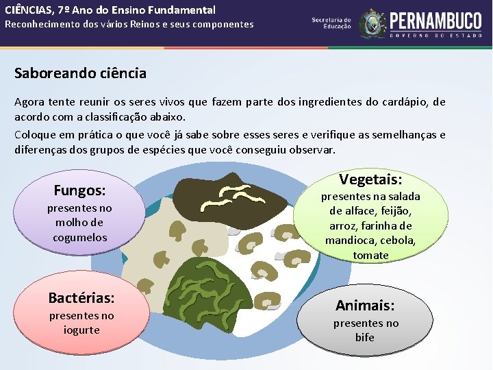 CIÊNCIAS, 7º Ano do Ensino Fundamental Reconhecimento dos vários Reinos e seus componentes Saboreando