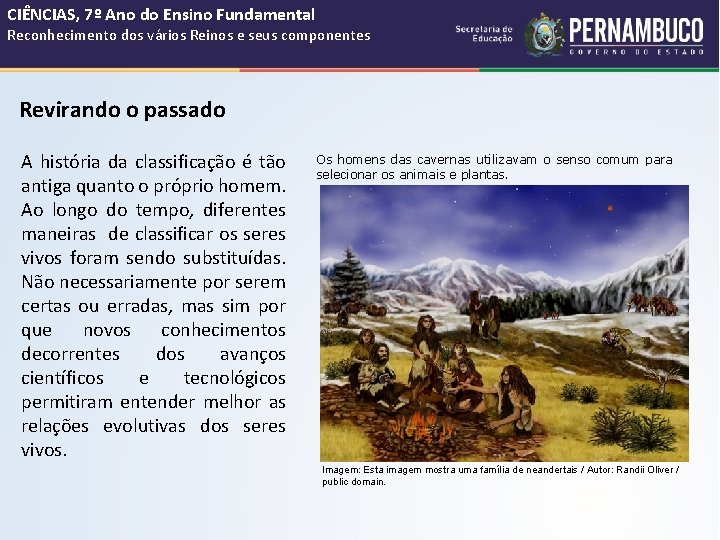 CIÊNCIAS, 7º Ano do Ensino Fundamental Reconhecimento dos vários Reinos e seus componentes Revirando