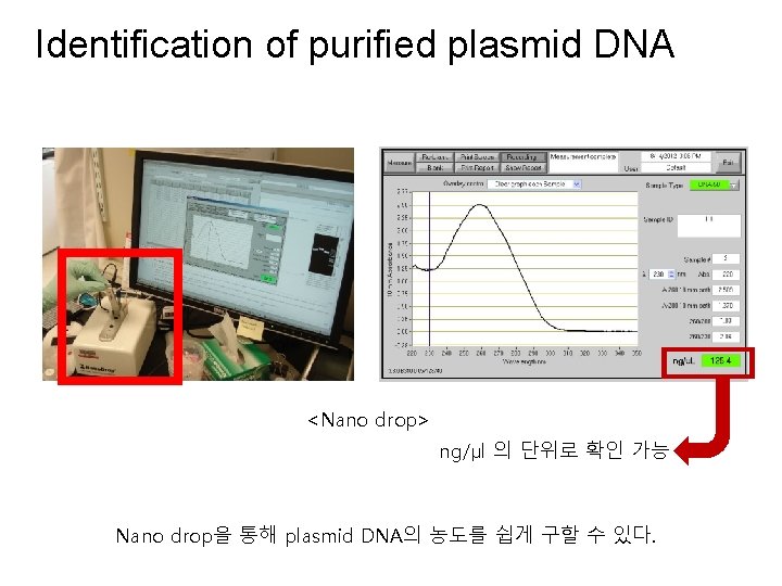 Identification of purified plasmid DNA <Nano drop> ng/µl 의 단위로 확인 가능 Nano drop을