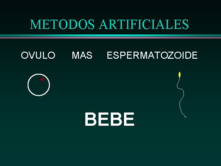 METODOS ARTIFICIALES OVULO MAS ESPERMATOZOIDE BEBE 