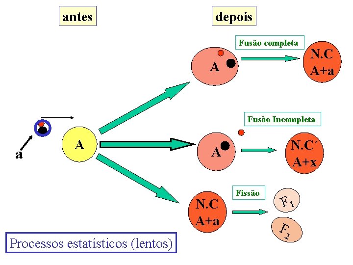 antes depois Fusão completa A N. C A+a Fusão Incompleta a A N. C