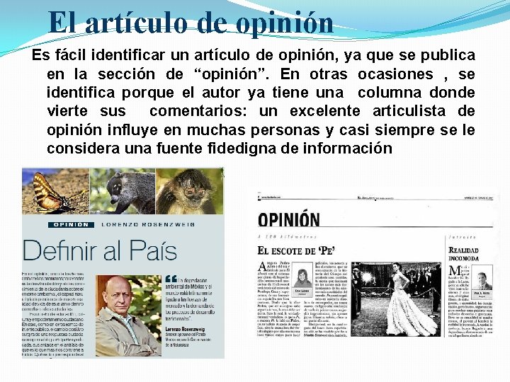 El artículo de opinión Es fácil identificar un artículo de opinión, ya que se
