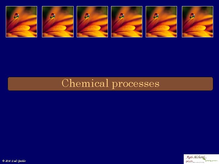 Chemical processes © 2016 Lindi Grobler 