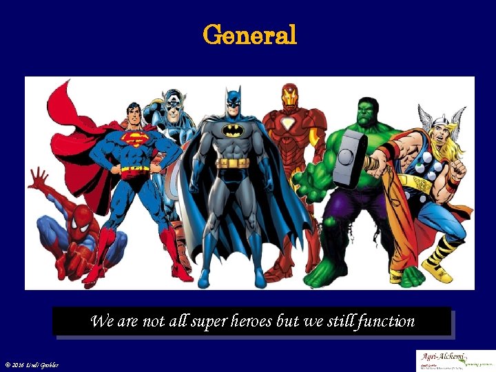 General We are not all super heroes but we still function © 2016 Lindi