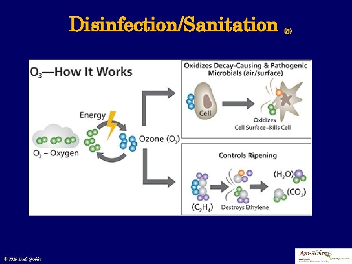 Disinfection/Sanitation © 2016 Lindi Grobler (5) 