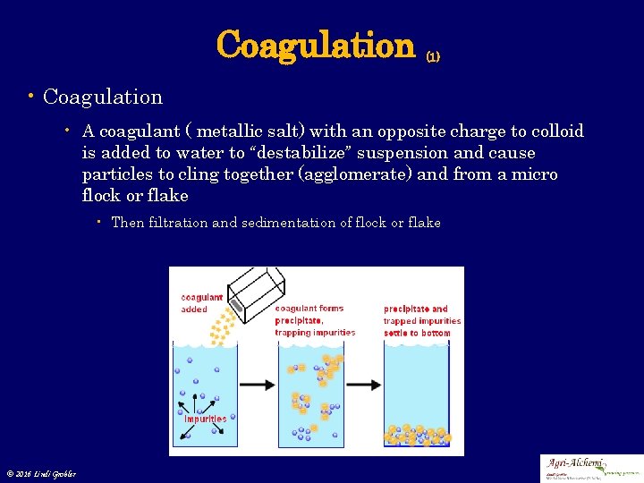 Coagulation (1) • Coagulation • A coagulant ( metallic salt) with an opposite charge