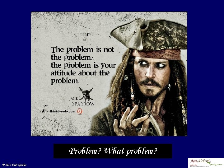 Problem? What problem? © 2016 Lindi Grobler 