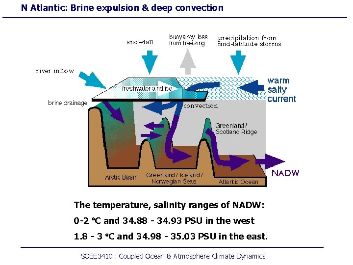 N Atlantic: Brine expulsion & deep convection The temperature, salinity ranges of NADW: 0