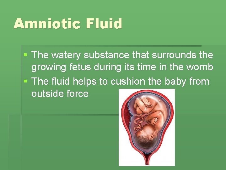 Amniotic Fluid § The watery substance that surrounds the growing fetus during its time Amniotic Fluid § The watery substance that surrounds the growing fetus during its time