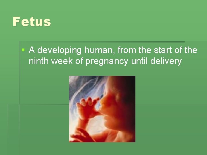 Fetus § A developing human, from the start of the ninth week of pregnancy Fetus § A developing human, from the start of the ninth week of pregnancy