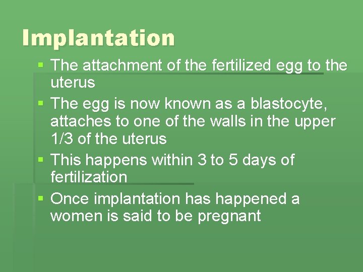 Implantation § The attachment of the fertilized egg to the uterus § The egg Implantation § The attachment of the fertilized egg to the uterus § The egg