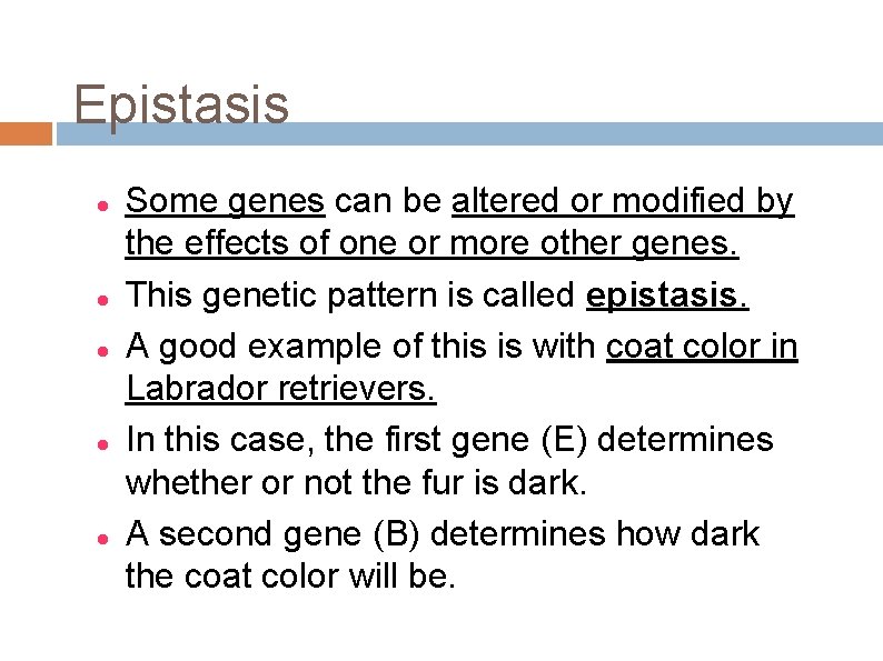 Epistasis Some genes can be altered or modified by the effects of one or